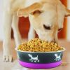 Stainless Steel Pet Bowl with Anti Skid Rubber Base and Dog Design, Gray and Pink - as Pic